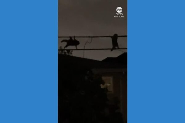 hulu